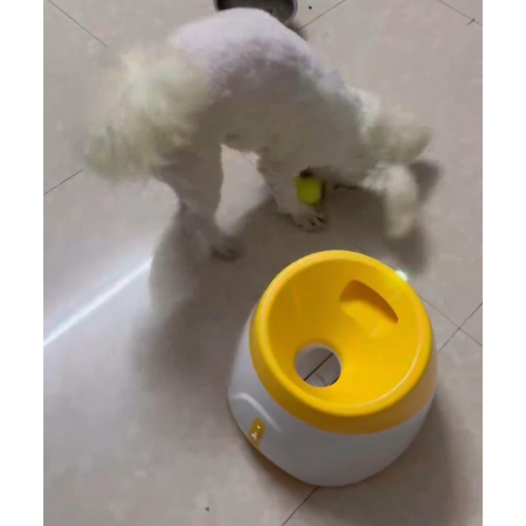 发射器互动狗玩具网球抛