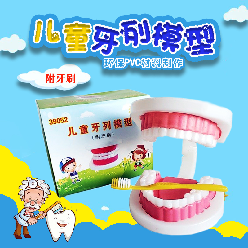 幼儿园牙齿模型广度器材教学