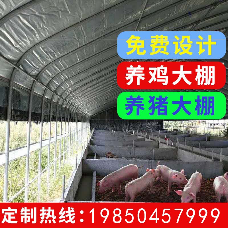 养殖大棚骨架钢管养猪牛羊圈猪舍保温全套鸡舍养鸡