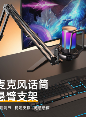 fifine直播录音专业麦克风支架室内防震固定悬臂桌面专用话筒架子