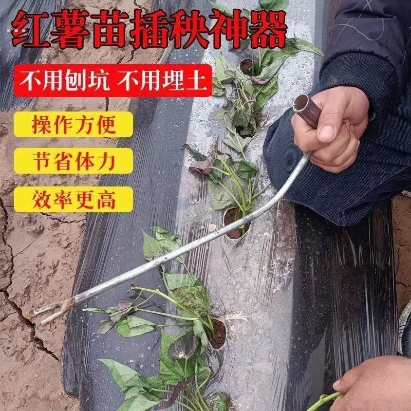 红薯栽苗器地瓜插苗器蔬菜种植叉子平栽工具葱苗栽苗器神器专业