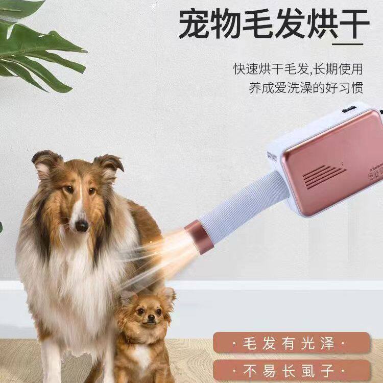 猫咪烘干机宠物多功能烘干机暖被干衣机