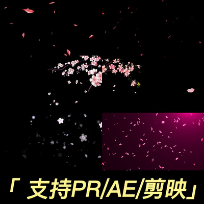 50款花瓣花朵飘落视频素材mov带透明通道PR/剪映/会声会影/edius