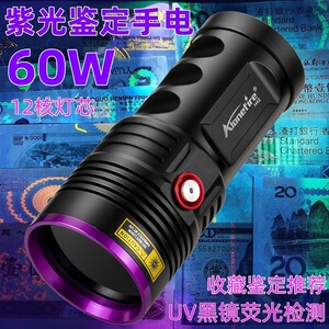 正品60W大功率365nm紫光灯手电UV黑镜验酒油污荧光剂塑胶瓷器检测