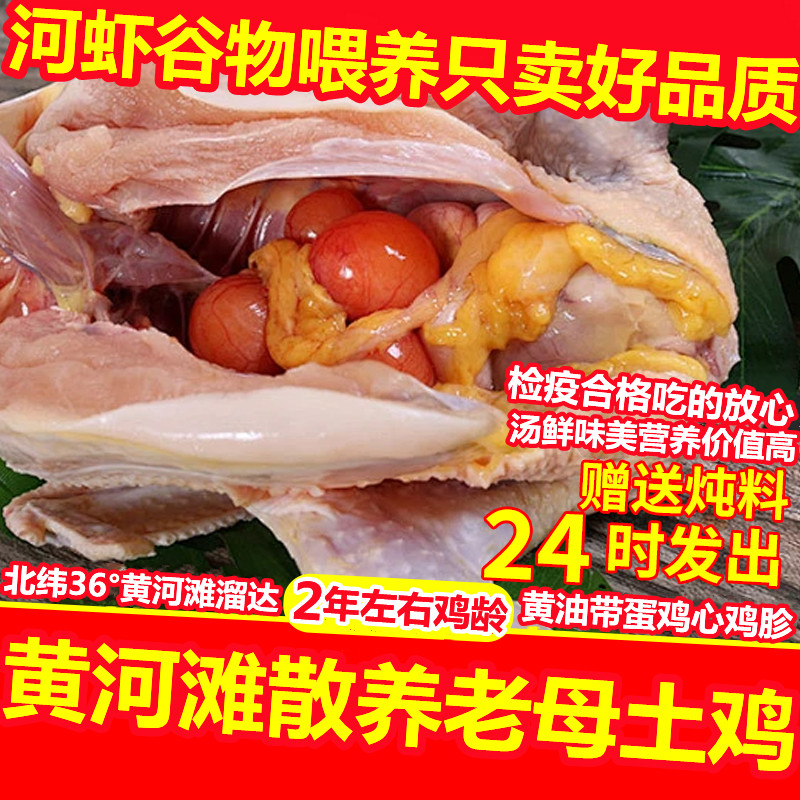 巨香大别山黄油老母鸡散养现杀土鸡肉月子食用煲汤冷链发货