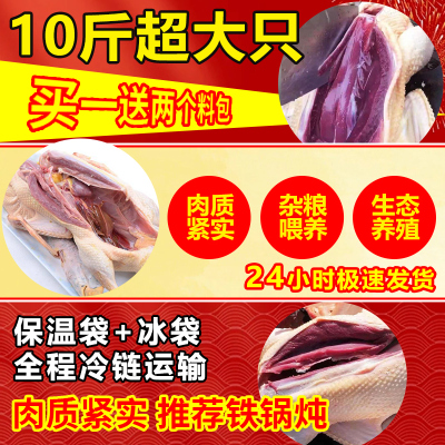 【坏单包赔】10斤非大鹅肉非新鲜现杀鹅非整只鹅非老鹅长白飞鸭肉