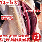 农家散养十斤超大非白鹅大鹅整只非新鲜现杀鹅炖大鹅土鹅滋补食材