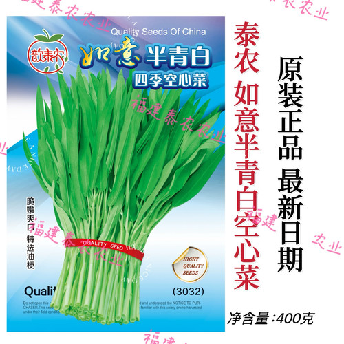 如意半青白柳叶空心菜种子白梗柳叶通心菜菜籽 春夏秋冬蔬菜菜籽