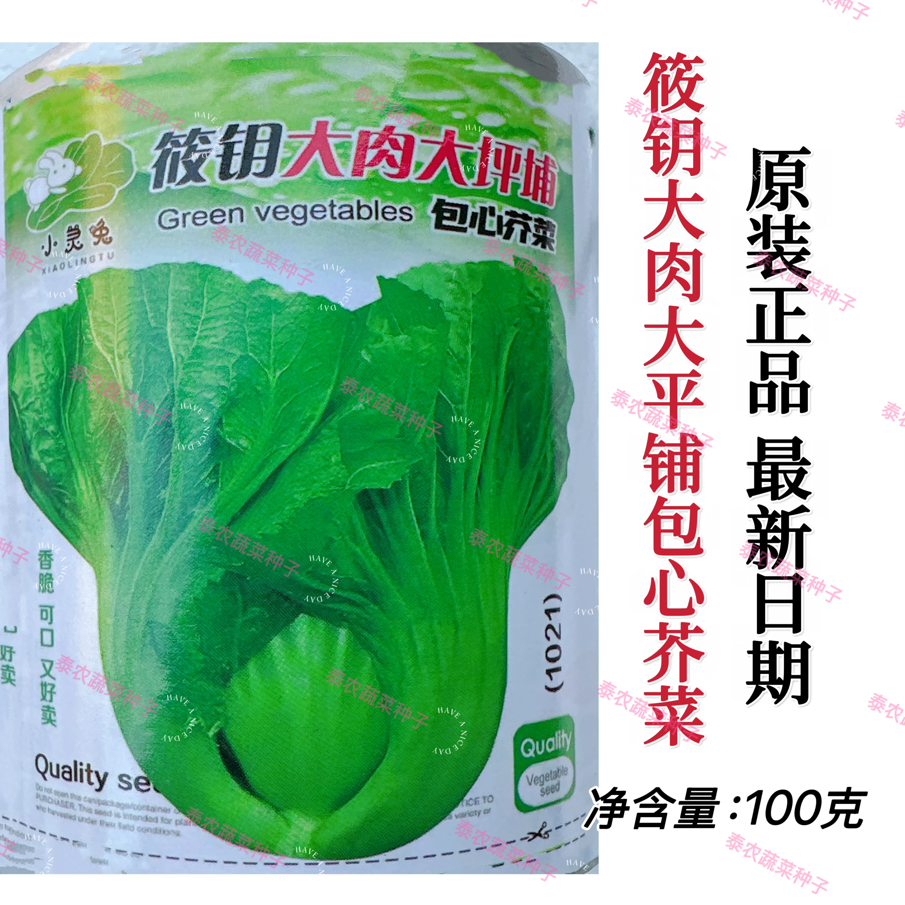 泰农选大坪埔大肉包心大芥菜种子家庭园艺大田种植蔬菜种子广东