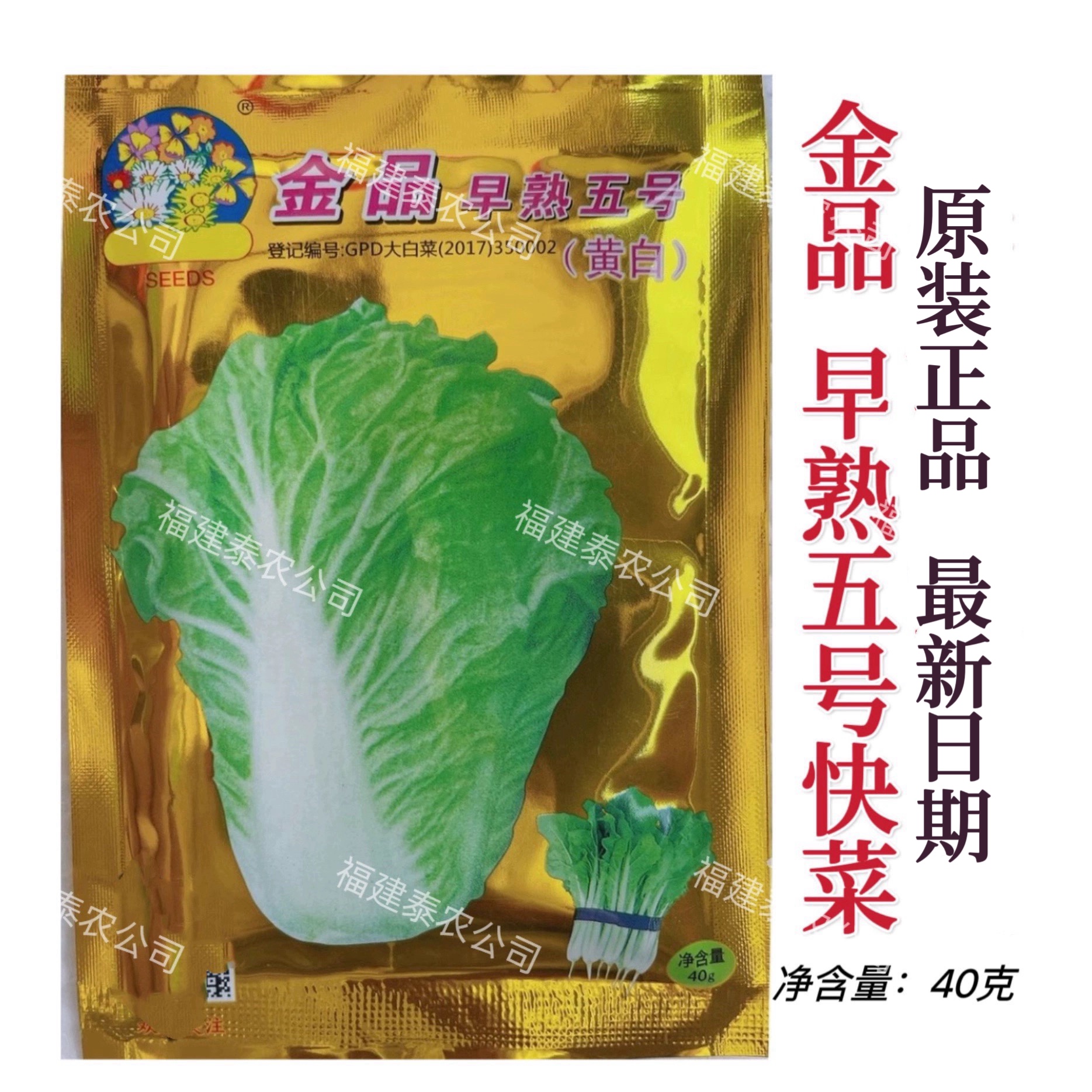 金品早熟五号快菜种籽黄白型小白菜种籽大青菜白菜籽种蔬菜种孑