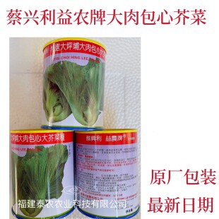 香港蔡兴利益农 大坪铺包心芥菜种子 蔡兴利芥菜籽耐热耐寒耐抽苔