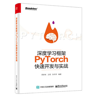 正版 深度学习框架PyTorch快速开发与实战 现货