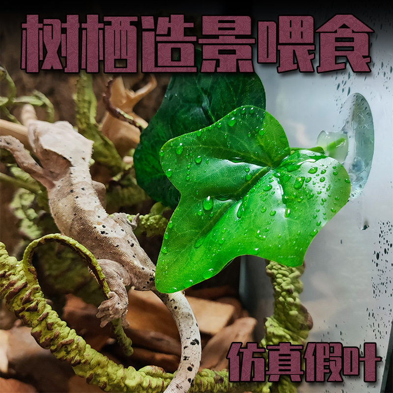睫角守宫果泥喂食神奇树栖喂水仿真树叶造景水盆蜘蛛变色龙饮水器