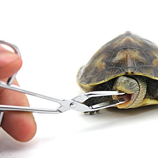 开口张嘴爬虫宠物撬嘴器水龟陆龟小乌龟蜥蜴蟒蛇守宫拒食喂药