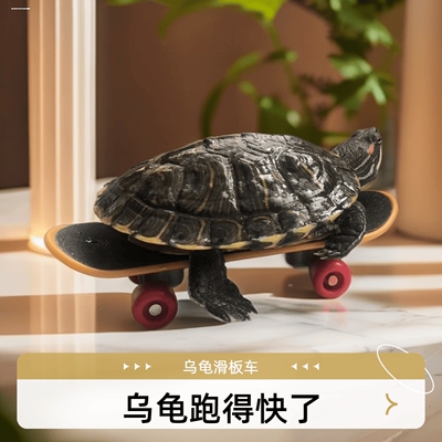 小乌龟滑板车合金手指指尖迷你玩具鹦鹉道具滑行桌面耐磨滑板宠物