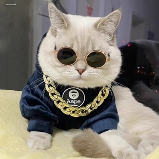 扮饰品猫猫眼镜 猫咪眼镜小狗狗墨镜宠物猫搞怪拍照道具扮酷耍帅装