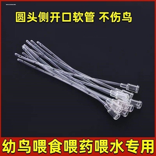 鹦鹉雏鸟喂食器人工喂流食软管工具喂药神器玄风牡丹虎皮文鸟八哥