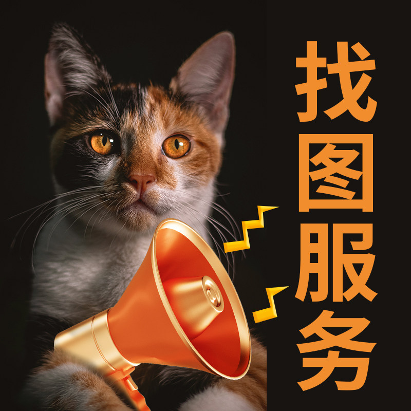 专业找高清大图帮找大图矢量图以图搜图画矢量图高清壁纸找字体,商务/设计服务,设计素材/源文件,淘宝优惠券,粉丝福利购,淘宝优惠卷