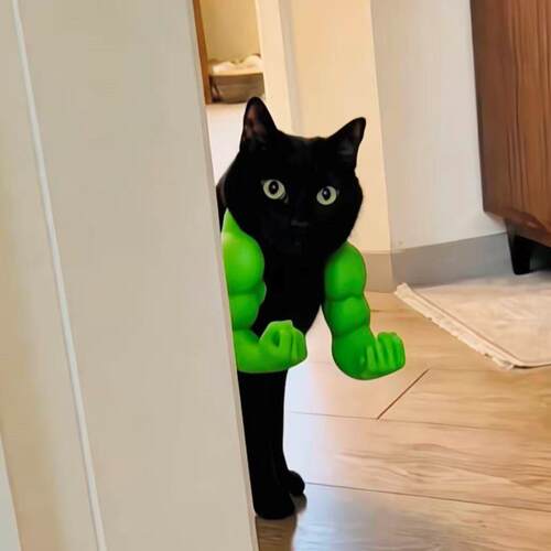 猫咪肌肉手臂绿巨人洛克c