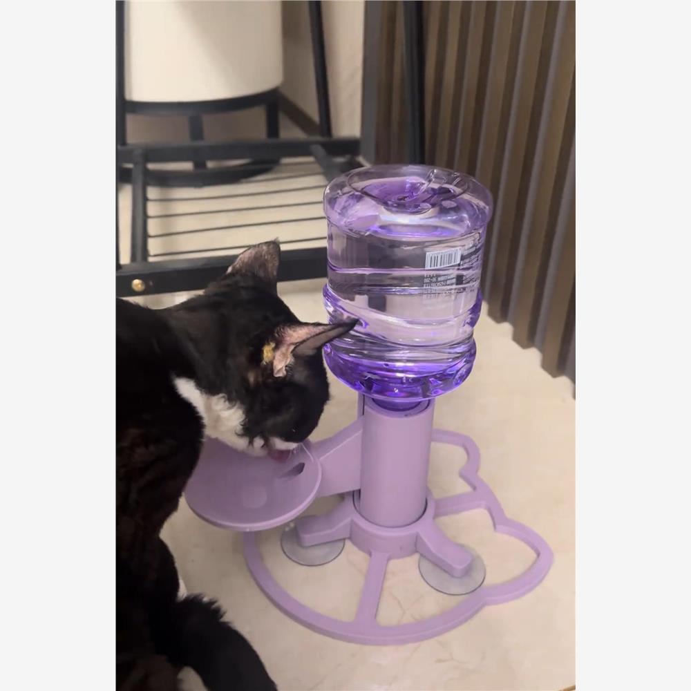 猫咪饮水机简约可爱紫色