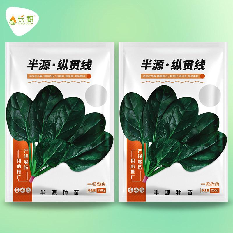 长耕纵贯线小叶菠菜种子秋冬春播杂交高产菠菜种籽趴地圆叶蔬菜孑