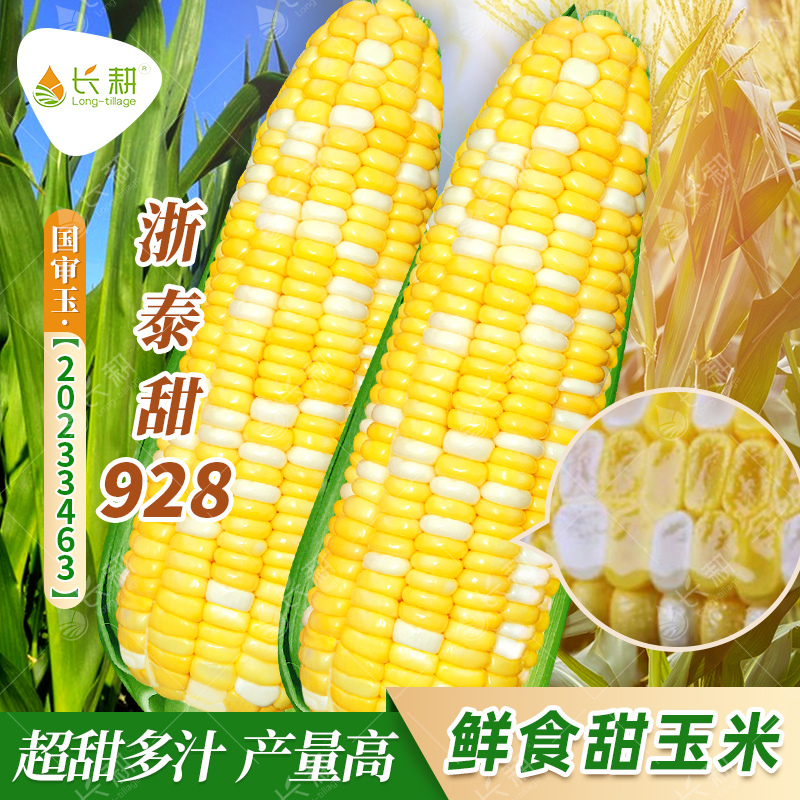 双色水果玉米种子超甜可生食