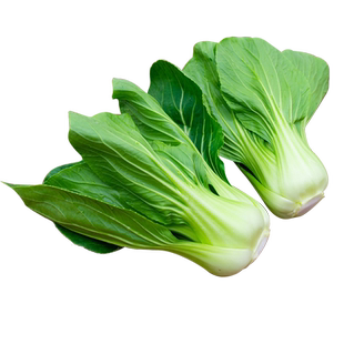 好吃奶油油菜种子夏秋播四季耐热抗寒苏州青种籽上海青菜蔬菜种孑