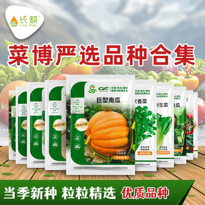 菜博严选各种蔬菜种子山东寿光豇豆辣椒番茄种籽春秋四季阳台种孑