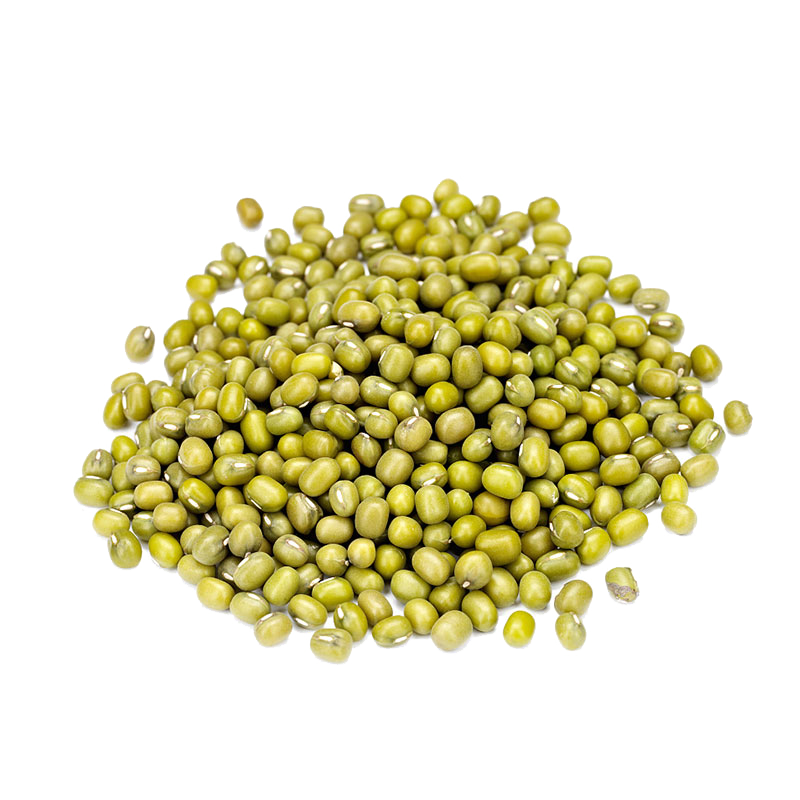 杂粮绿豆种子早熟绿豆芽种籽高产春秋四季农家水培蔬菜芽苗菜种籽