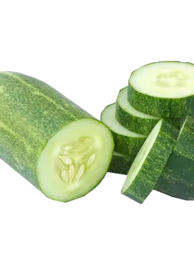 花青大吊瓜种子水果黄瓜四季
