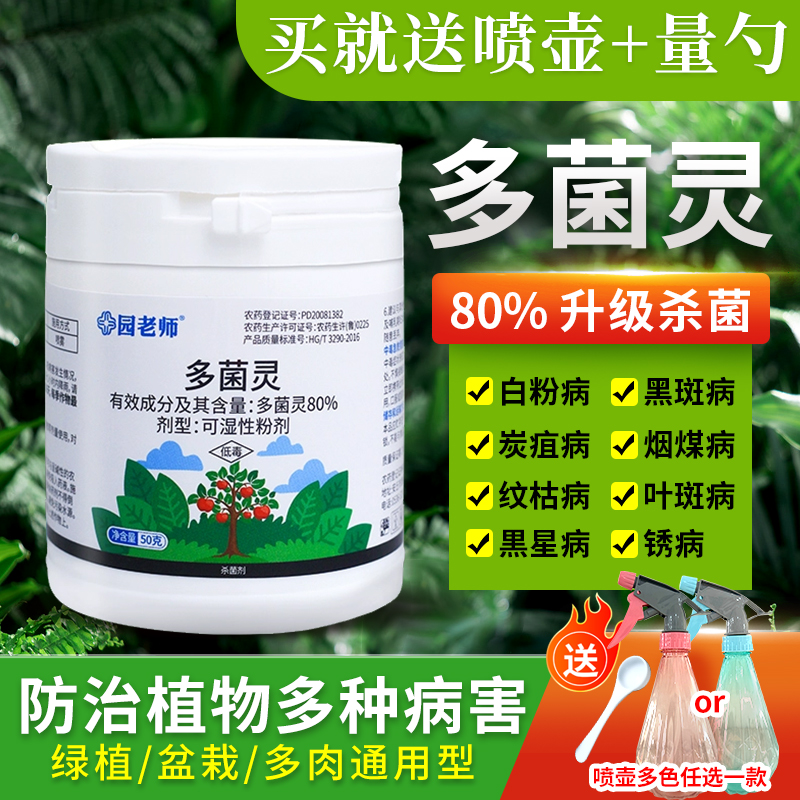多菌灵杀菌剂专治黄叶黑斑白粉病多菌灵多肉月季花卉病粉剂常用药