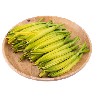 黄花菜种子大田观赏金针菜籽春秋四季食用特色蔬菜忘忧草种孑盆栽