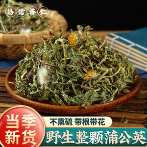 蒲公英500g整根野生干货中药材婆婆丁茶浦公英茶官方不特级旗舰店