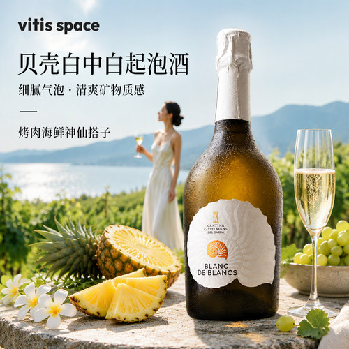 意大利贝壳白中白普罗塞克起泡酒