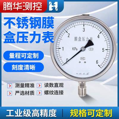 YE-100不锈钢膜盒压力表微压天然气耐高温腐蚀螺纹轴向隔膜压力表
