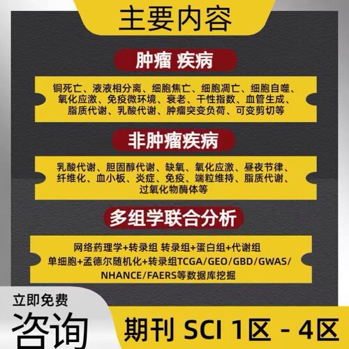 第一性原理计算电子结构态密度能带结构VASP代算服务催化性能模拟