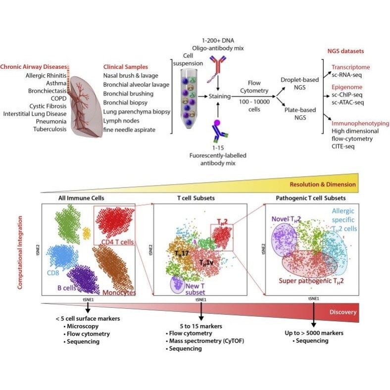 单细胞数据分析 生信分析 孟德尔随机化 药物靶点 ldsc