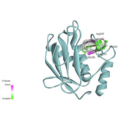 分子对接/虚拟筛选/辅导业务/可视化/discovery studio/Pymol