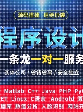 python代编程深度学习算法matlab定制程序代写php代码编写做C++