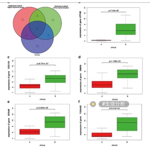 单细胞数据分析GEO TCGA RNA-seq测序数据挖掘结果可视化生信分析