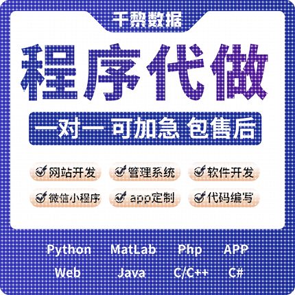 python代编程序C++语言matlab深度学习PHP代码编写定制代写javaC#