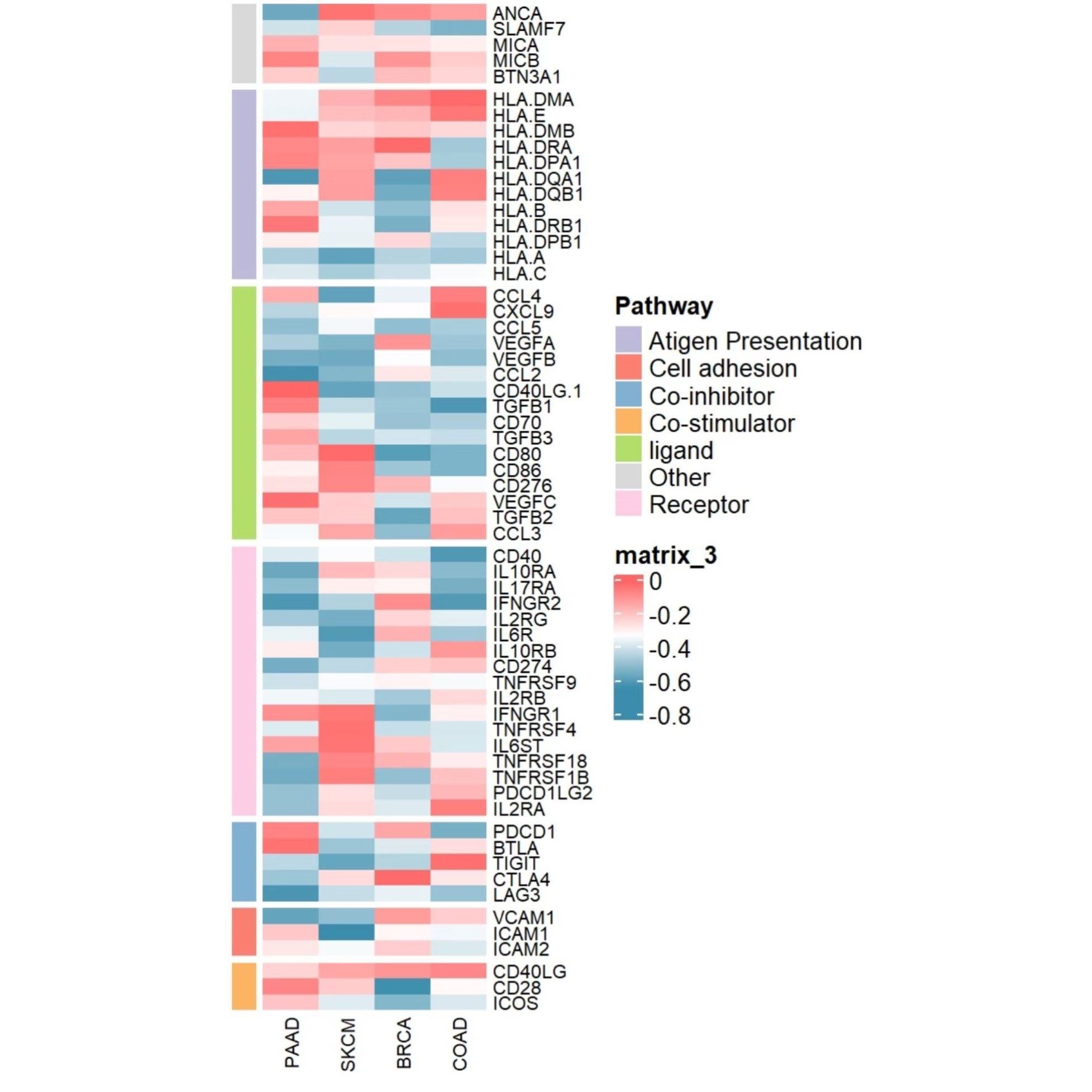 网络药理学分子对接服务Gromacs动力学模拟DFT计算Pymol