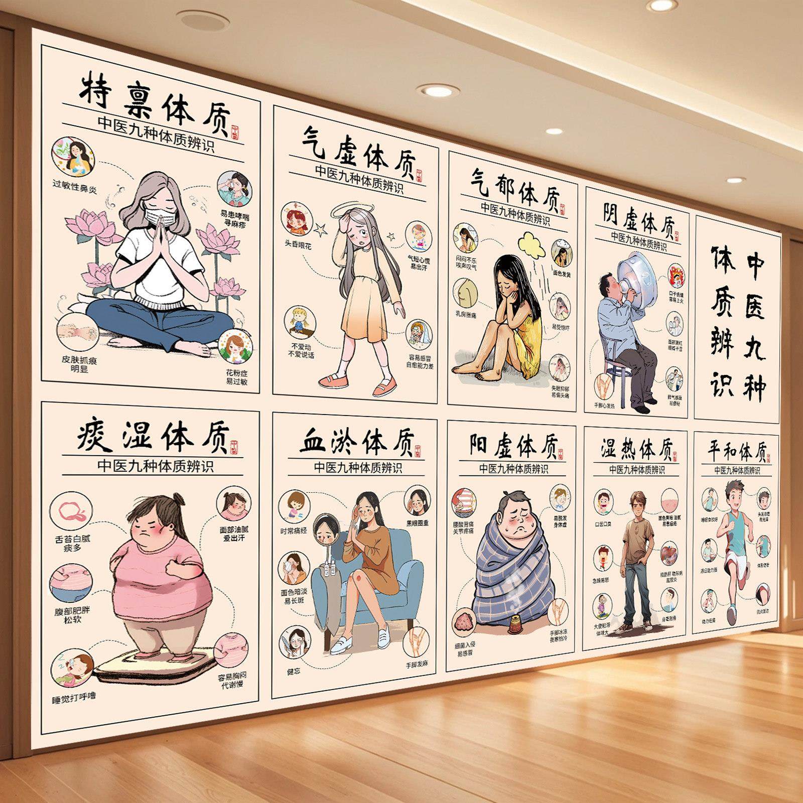 中医九种体质挂图中医药文化墙养生海报图养生馆装饰画背景墙挂画,家居饰品,现代装饰画,淘宝优惠券,粉丝福利购,淘宝优惠卷