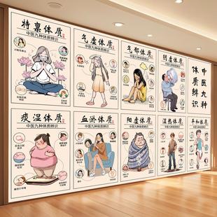 中医九种体质挂图中医药文化墙养生海报图养生馆装饰画背景墙挂画
