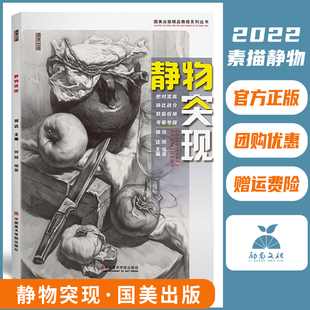 静物突现 素描组合水果单体组合结构基础入门照片零基础画临摹范本国美画册教学教材书籍中国美院美术绘画石膏中考高考联考教程书