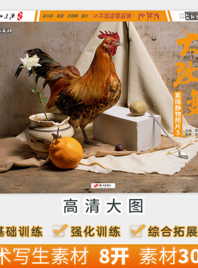 大改变素描静物照片5励尚文化