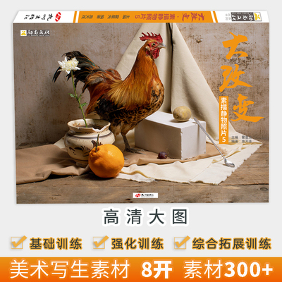 大改变素描静物照片5励尚文化