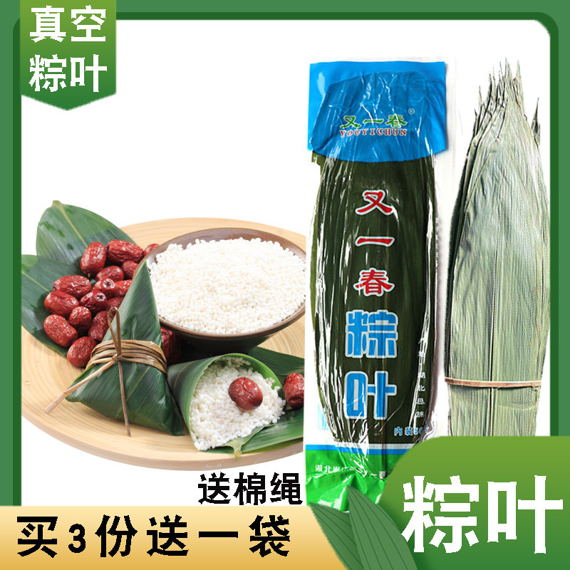 新鲜粽子叶包粽子的叶子 棕叶大粽子 农家种叶新鲜大片大号送棉线