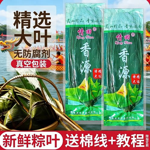 香源特大真正粽子叶大号新鲜芦苇叶老式干粽叶子商用批发家用粽叶