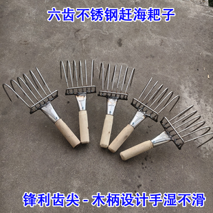 赶海专业耙子锋利齿尖挖花蛤蚬子工具不锈钢挖蛤蜊松土刨花生神器